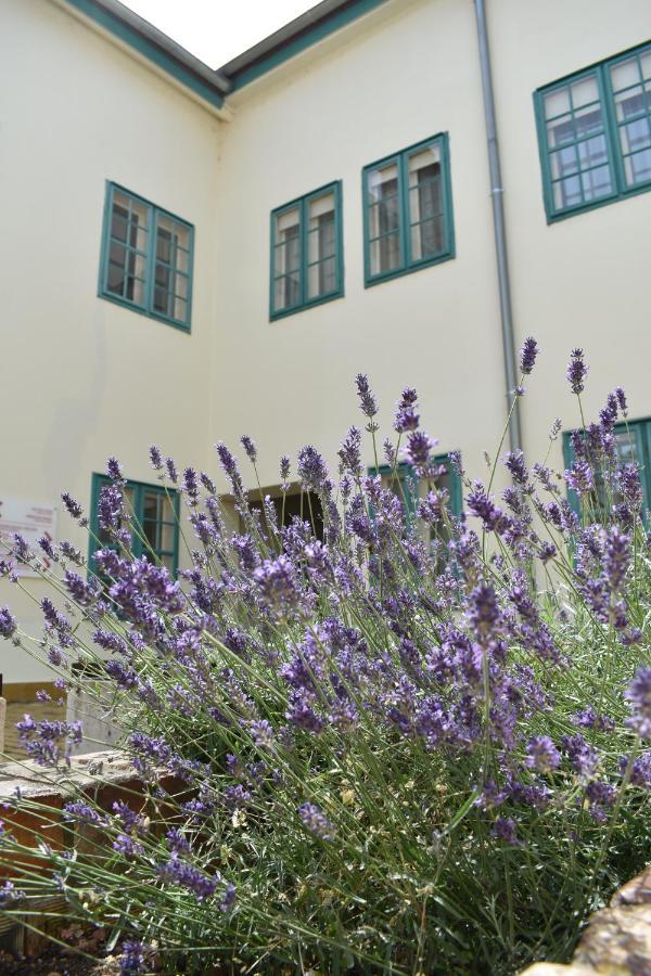 Zsolnay Negyed Vendeghaza Apart otel Peçuy Dış mekan fotoğraf