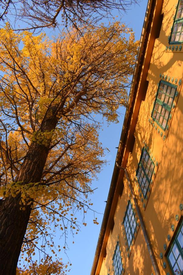 Zsolnay Negyed Vendeghaza Apart otel Peçuy Dış mekan fotoğraf